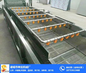 泰安土豆气泡清洗机 诸城神龙机械的专业供应与代理服务